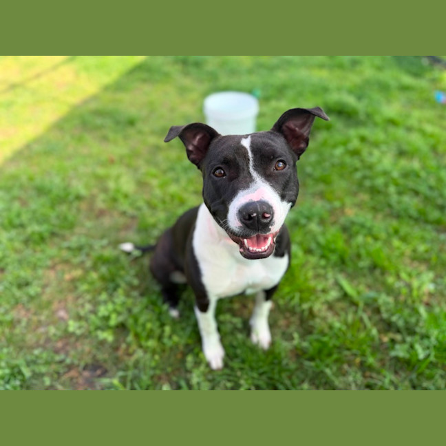 Photo of Molly Imp 1754