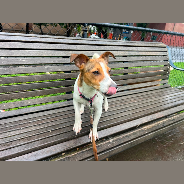 Photo of Miss Odie