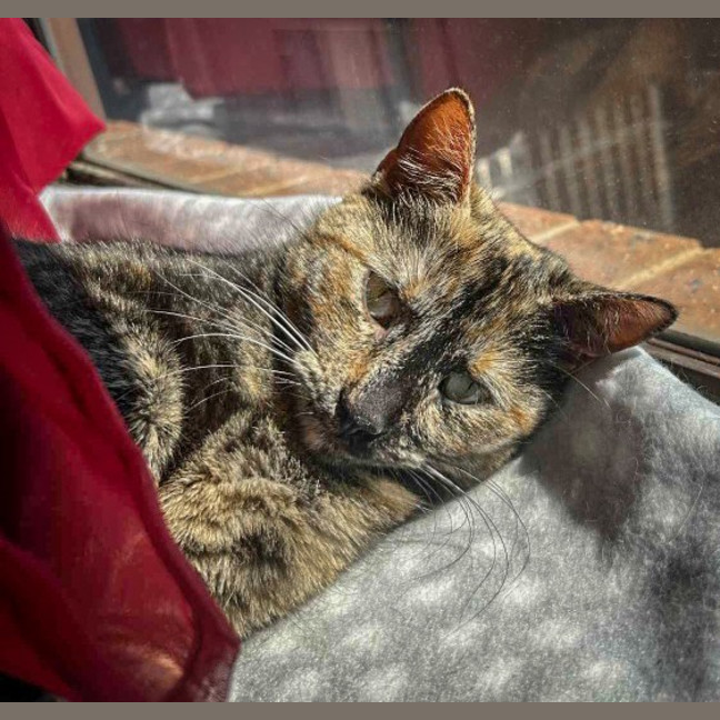 Photo of Marceline
