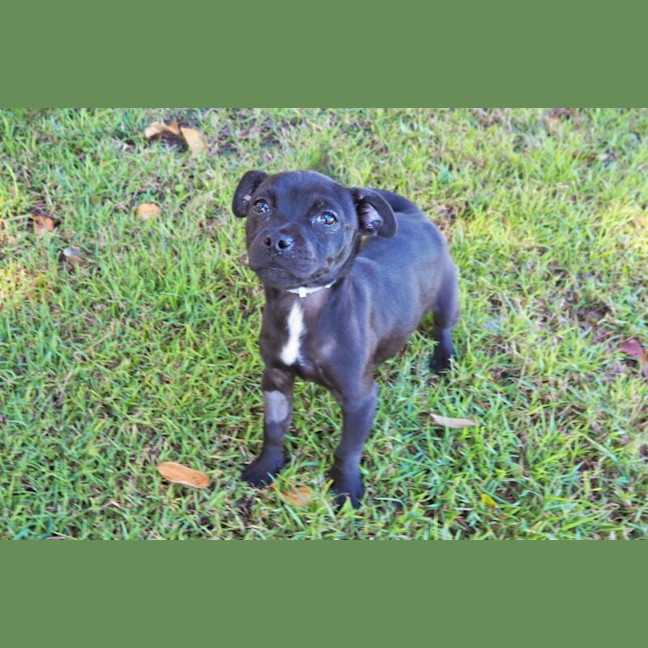 Photo of Georgie Girl