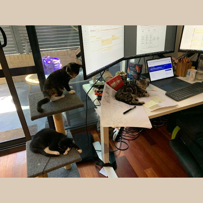 Photo of Licketty Split