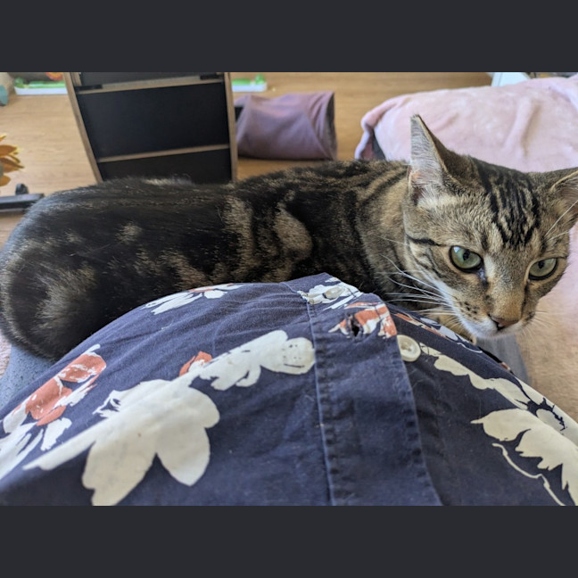 Photo of Spark