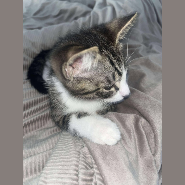Photo of Vinnie