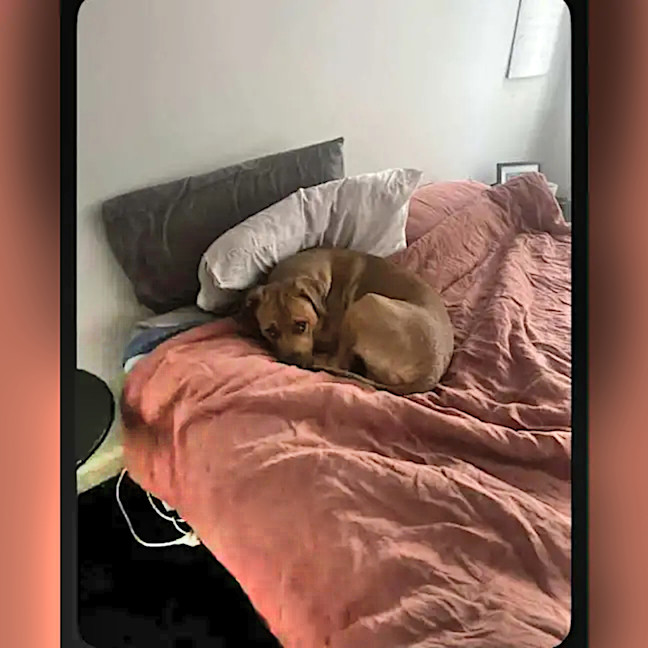 Photo of Wally