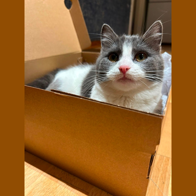Photo of Penelope