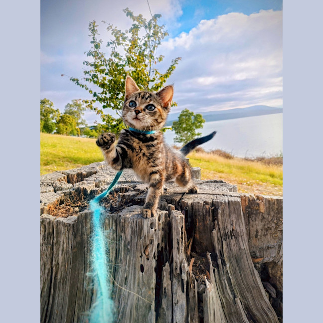 Photo of Holly Bloom