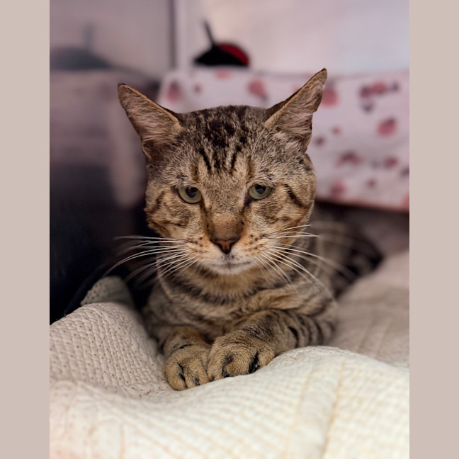 Photo of Bruce Wayne