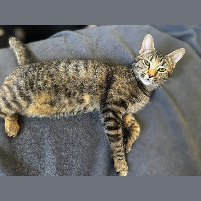 Photo of Freya