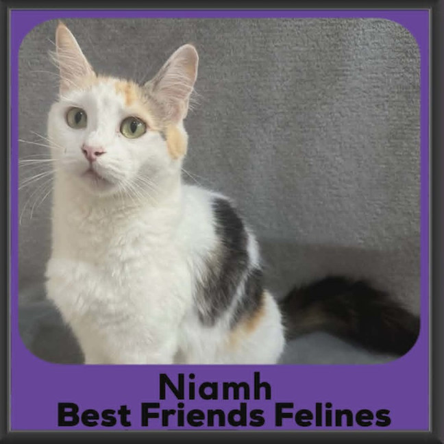 Photo of Niamh