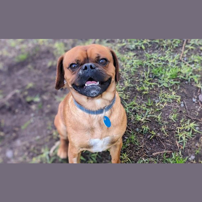 Photo of Mason