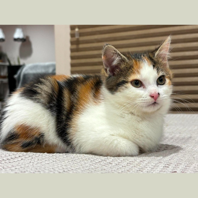 Photo of Brunhilde