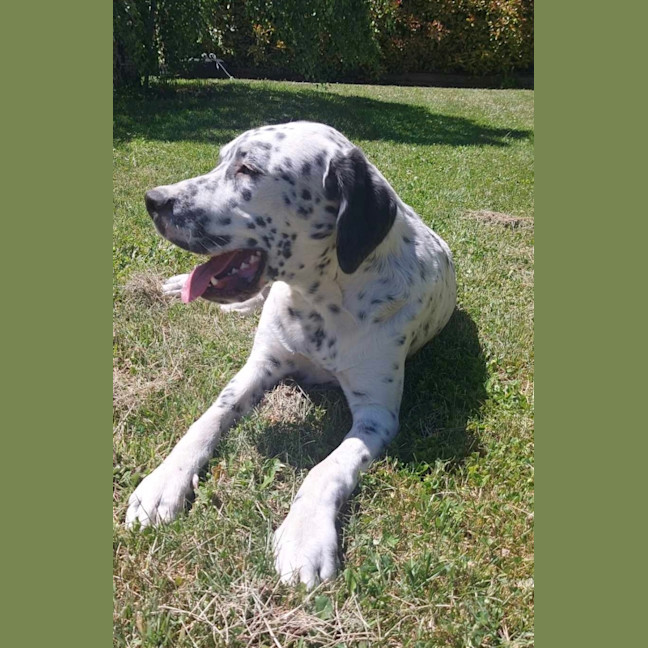 Photo of Storm
