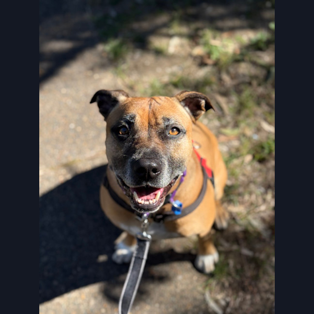 Photo of Luna