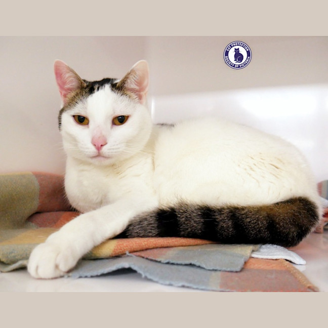 Photo of Lily Sua012871