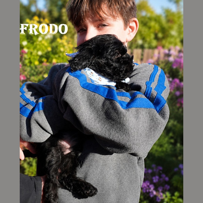 Photo of Frodo