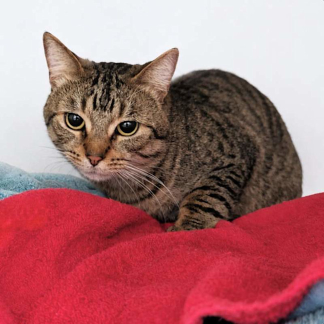 Photo of Leo