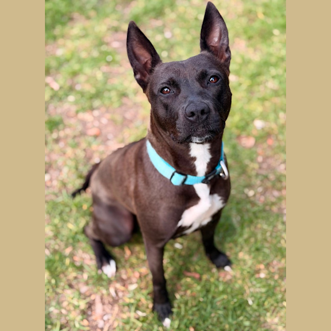 Photo of Tilly 
