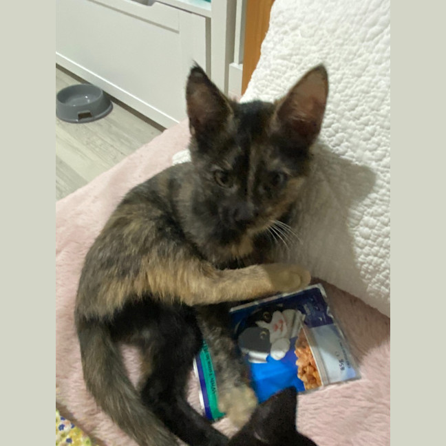 Photo of Agatha