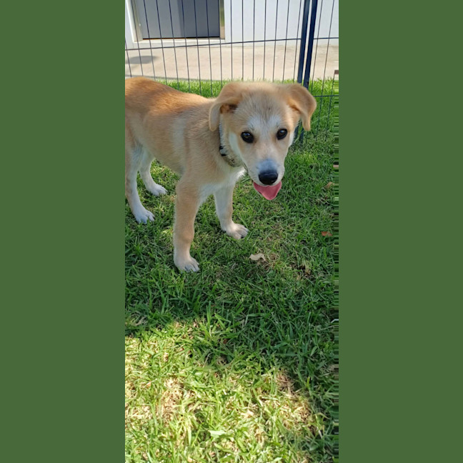 Photo of Zuko