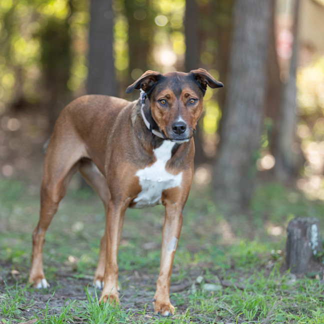 Photo of Carley