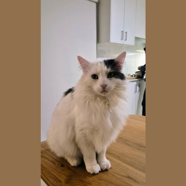 Photo of Walter 