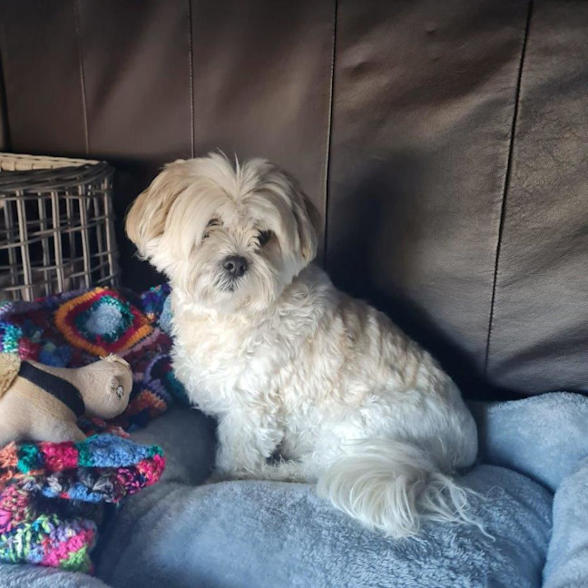 Photo of Molly Quinnell