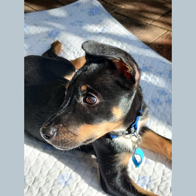Photo of Parker
