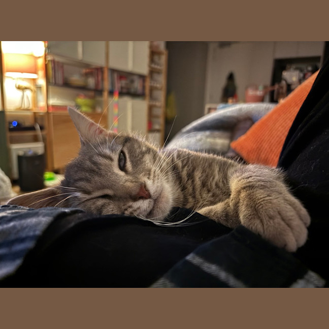 Photo of Leo