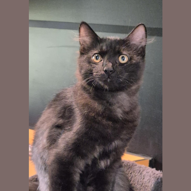 Photo of Marley Zane