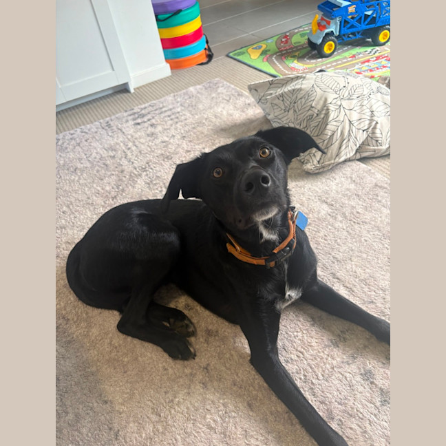 Photo of Max
