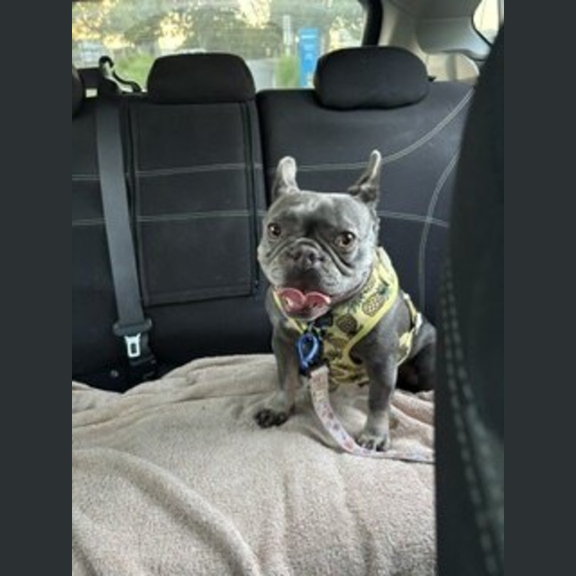 Photo of Ella