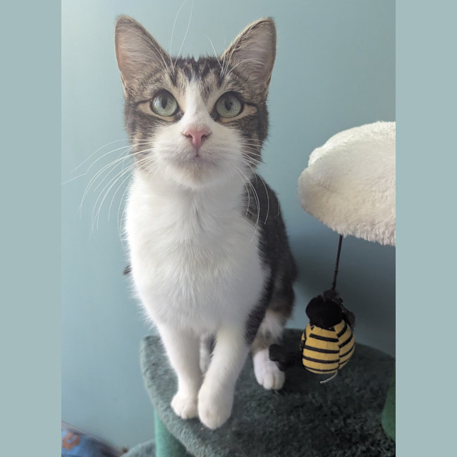 Photo of Luna