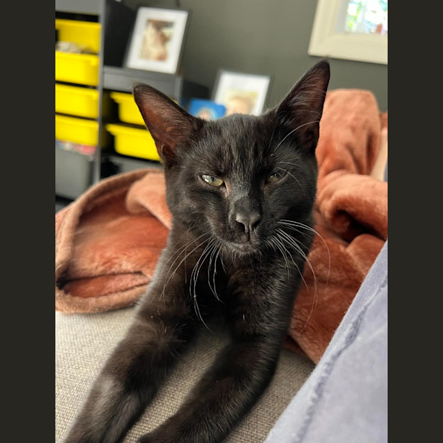 Photo of Joker