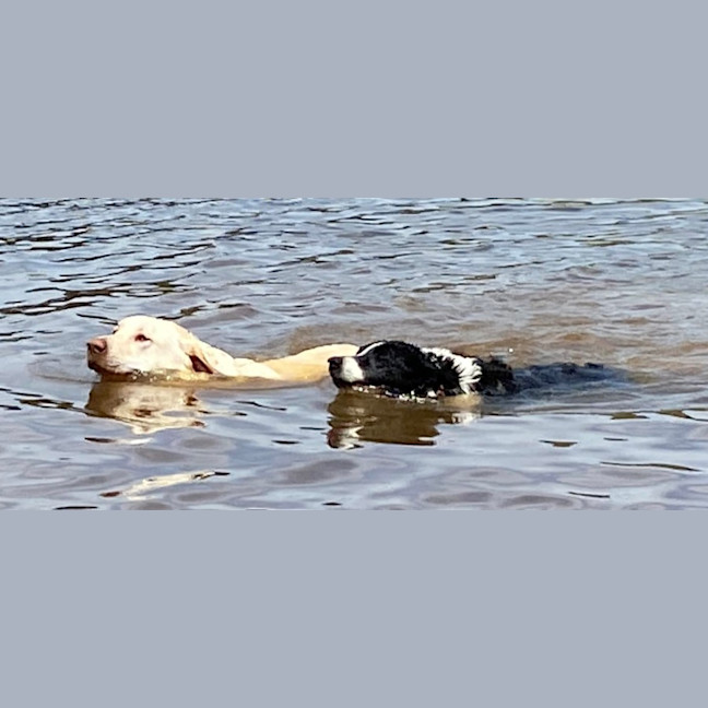 Photo of Max
