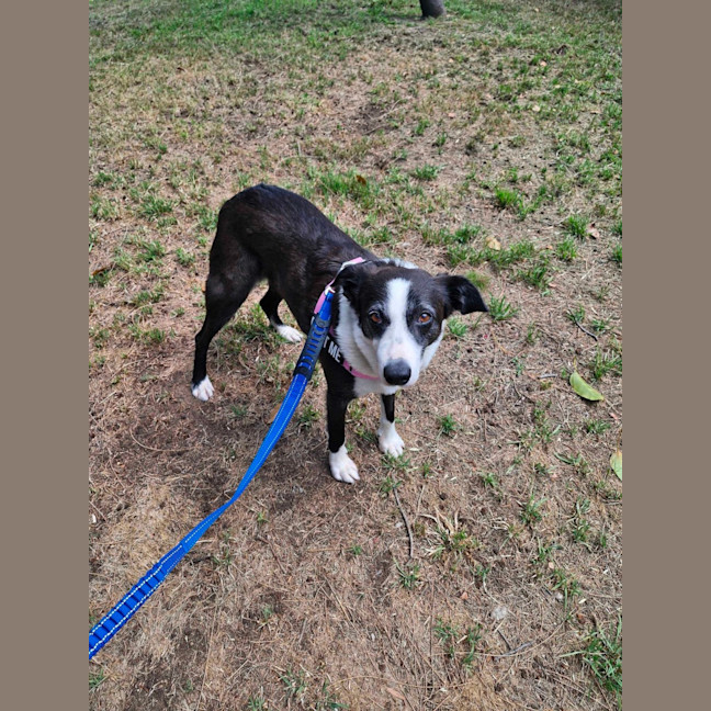 Photo of Winnebago 