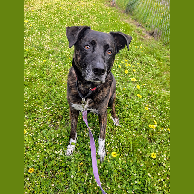 Photo of Rex