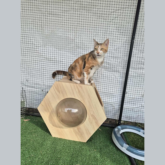 Photo of Sophie