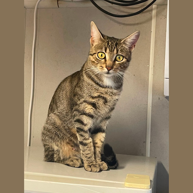 Photo of Polly