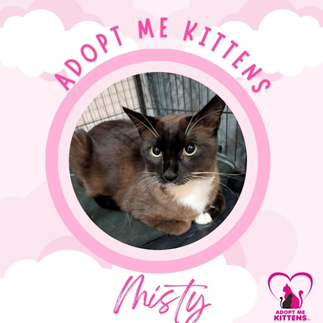 Photo of Misty