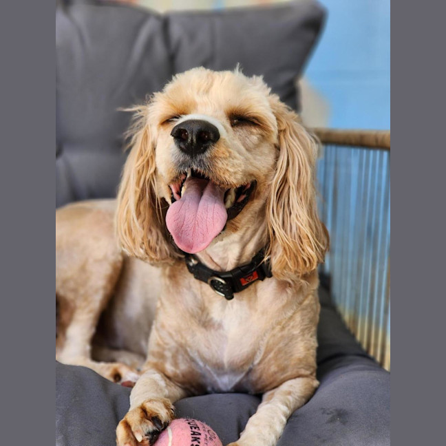 Photo of 🐝 Charlie 6852 🐝