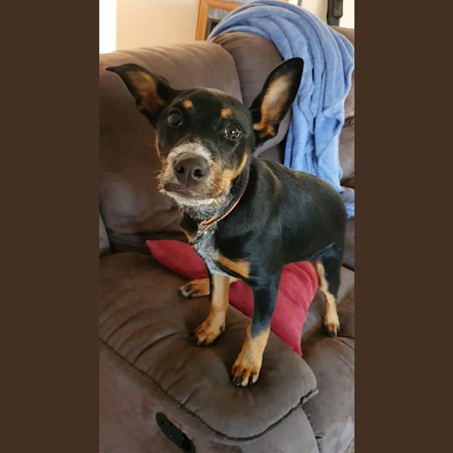 Photo of Roxy