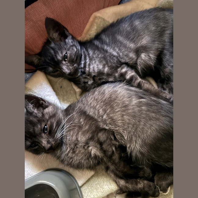 Photo of Danny (With Kenickie)