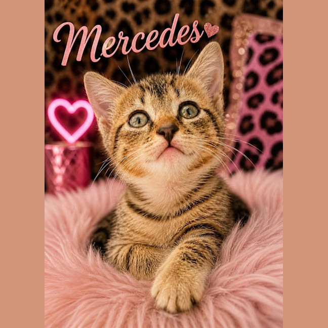 Photo of Mercedes 
