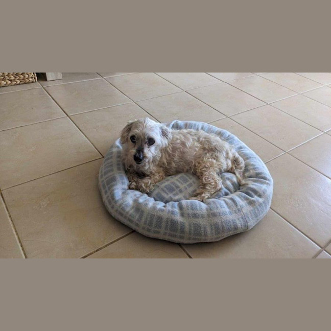 Photo of Simon Babbington