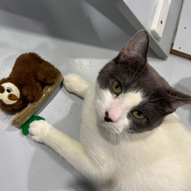 Photo of Pablo 🌟🌴