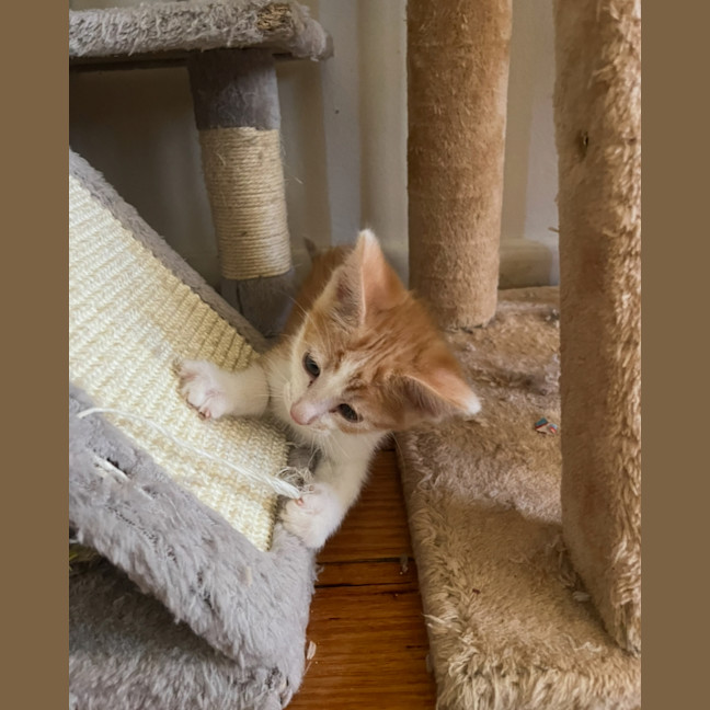 Photo of Charlie