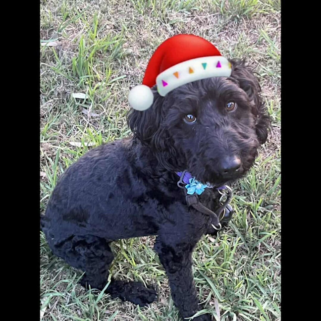Photo of Norbert