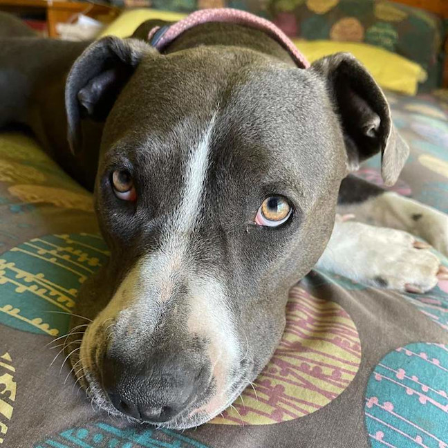 Photo of Storm