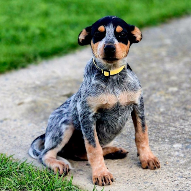 Photo of Wiggle 