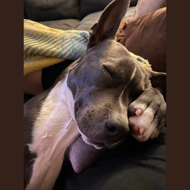 Photo of Luna